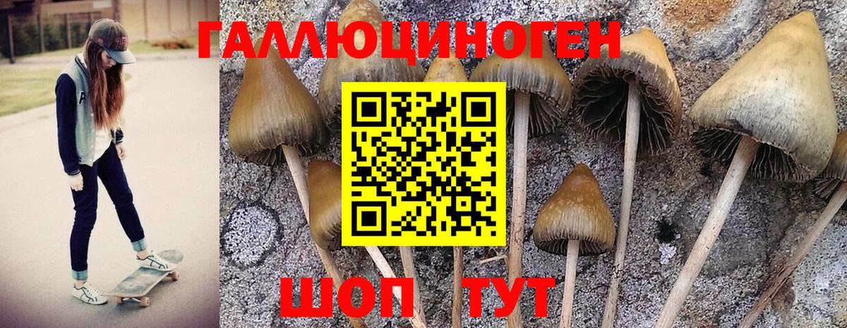 Лениногорск  Галлюциногенные грибы мухоморы  Вход с VPN 